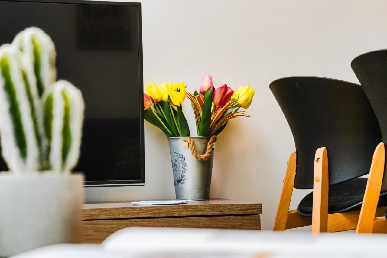 Apartment Kula Center Exarchia